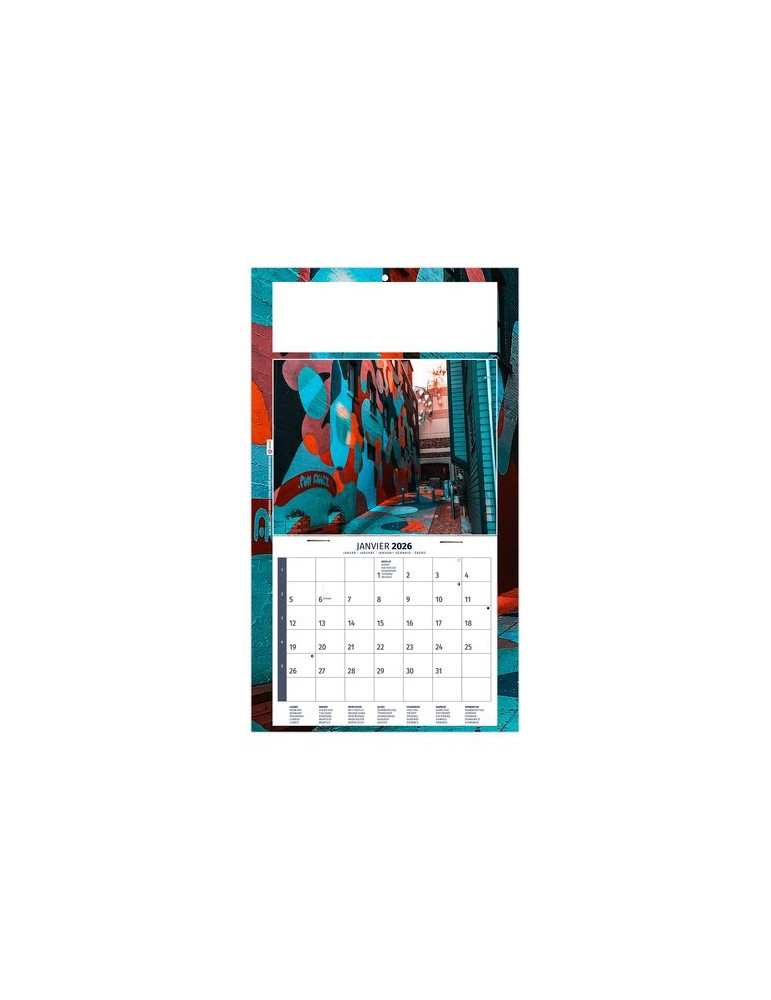 PLAQUE 1 VUE TIPHAINE 2026 - DOS CARTON - BLOC B2 - SANS MARQUAGE