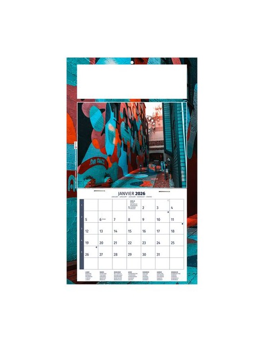 PLAQUE 1 VUE TIPHAINE 2026 - DOS CARTON - BLOC B2 - SANS MARQUAGE