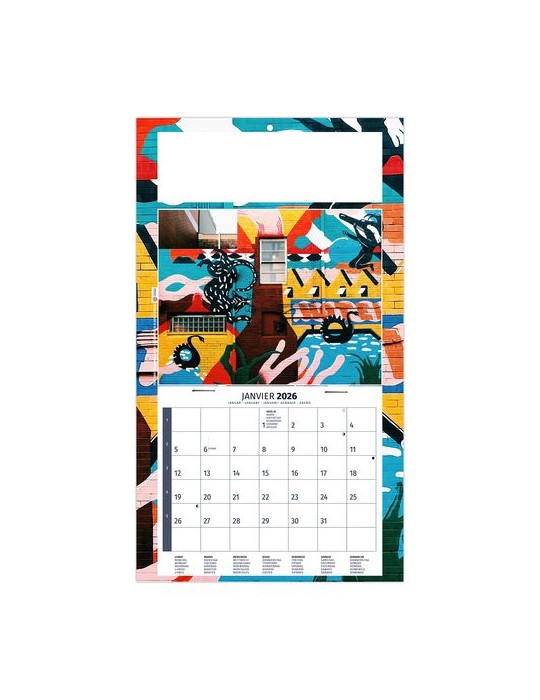 PLAQUE 1 VUE TIPHAINE 2026 - DOS CARTON - BLOC B2 - SANS MARQUAGE