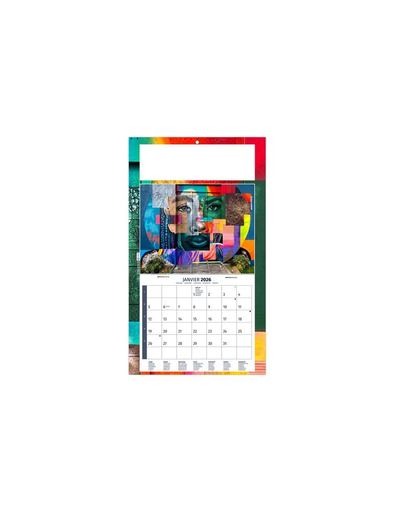 PLAQUE 1 VUE TIPHAINE 2026 - DOS CARTON - BLOC B2 - SANS MARQUAGE