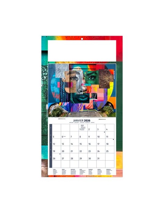 PLAQUE 1 VUE TIPHAINE 2026 - DOS CARTON - BLOC B2 - SANS MARQUAGE