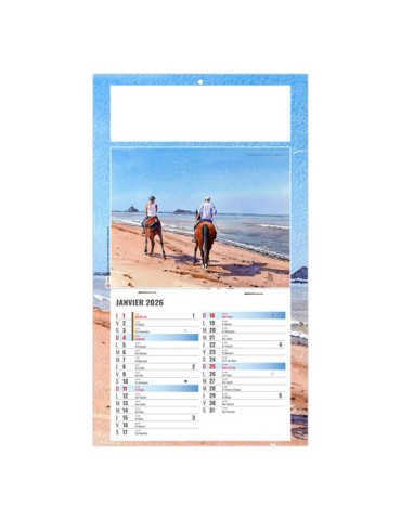 PLAQUE 1 VUE EMILIE 2026 - DOS CARTON - BLOC B2 - SANS MARQUAGE