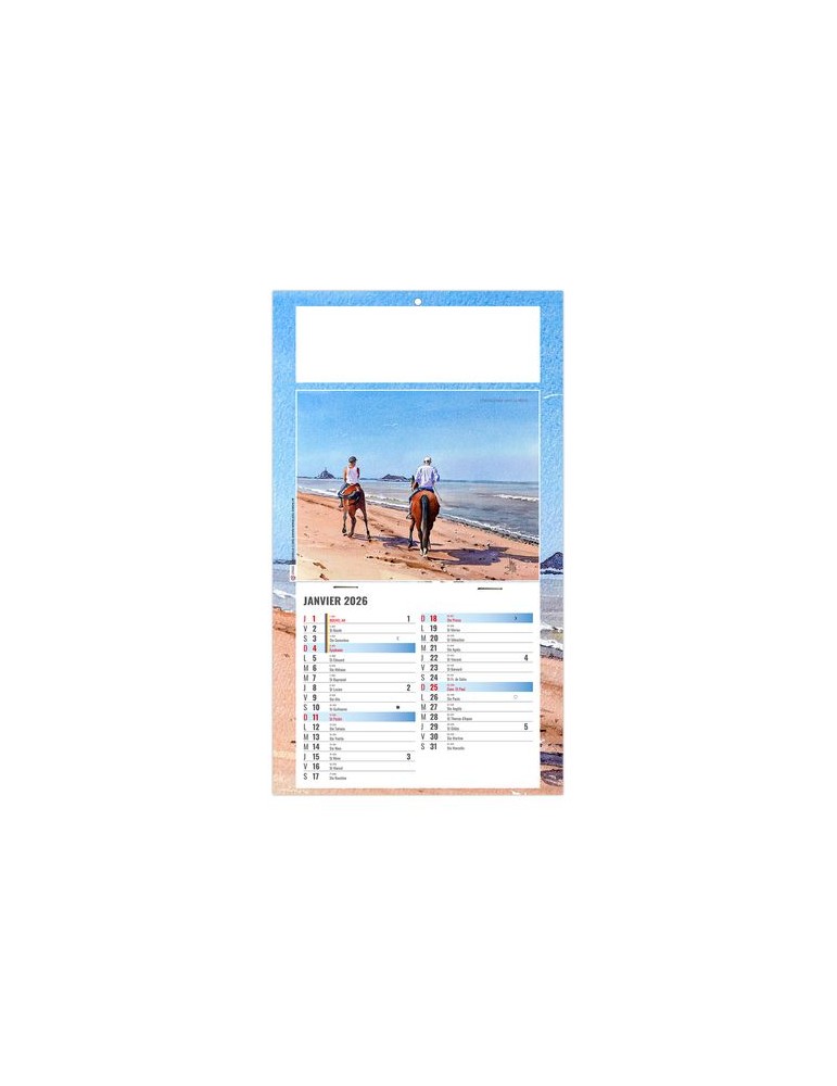 PLAQUE 1 VUE EMILIE 2026 - DOS CARTON - BLOC B2 - SANS MARQUAGE