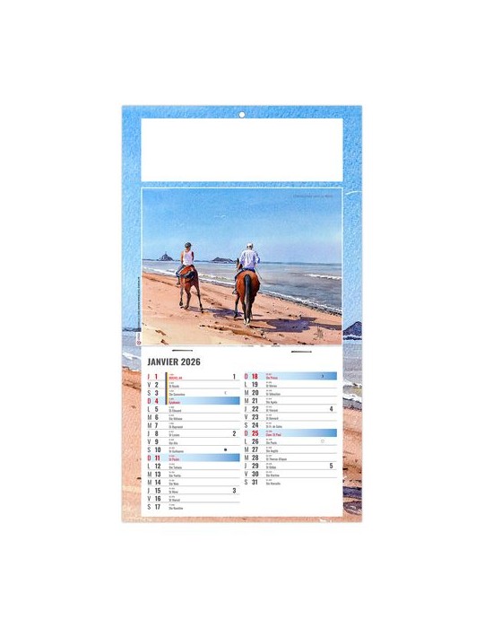 PLAQUE 1 VUE EMILIE 2026 - DOS CARTON - BLOC B2 - SANS MARQUAGE