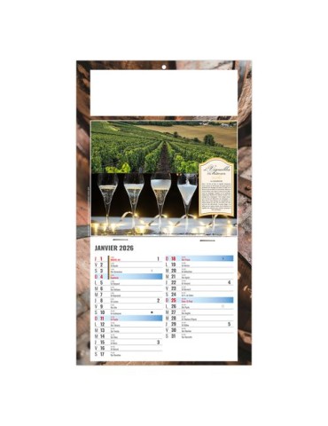 PLAQUE 1 VUE CORALIE 2026 - DOS CARTON - BLOC B2 - SANS MARQUAGE