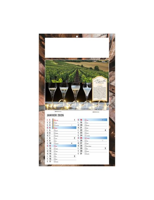 PLAQUE 1 VUE CORALIE 2026 - DOS CARTON - BLOC B2 - SANS MARQUAGE