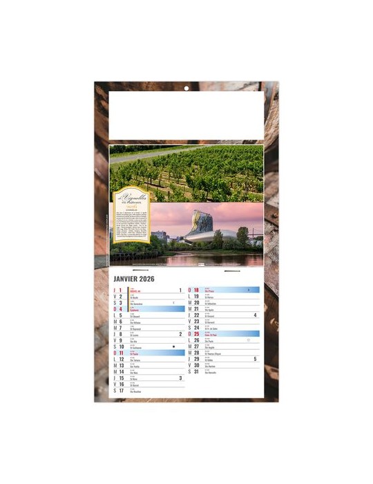 PLAQUE 1 VUE CORALIE 2026 - DOS CARTON - BLOC B2 - SANS MARQUAGE