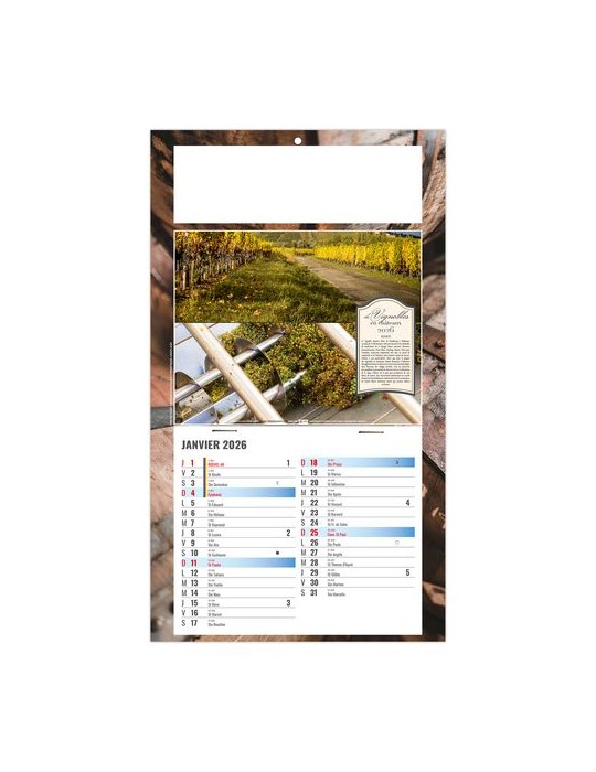 PLAQUE 1 VUE CORALIE 2026 - DOS CARTON - BLOC B2 - SANS MARQUAGE