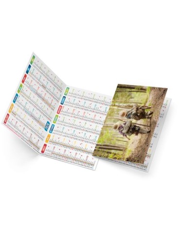 CHLOE 2026 - NEUTRE 1 POSE