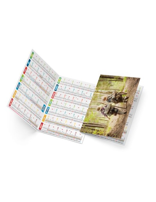 CHLOE 2026 - NEUTRE 1 POSE