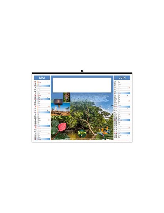 ILLUSTRE ECO - AMAZONE 2026 - SMALL 480 x 330 mm