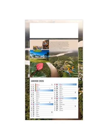 PLAQUE 1 VUE LUC 2026 - DOS CARTON - BLOC B2 - SANS MARQUAGE