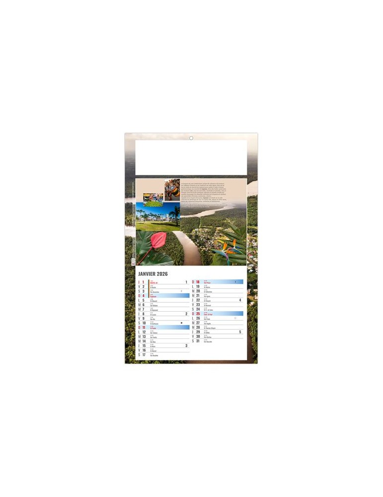 PLAQUE 1 VUE LUC 2026 - DOS CARTON - BLOC B2 - SANS MARQUAGE