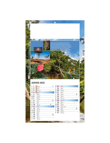 PLAQUE 1 VUE LUC 2026 - DOS CARTON - BLOC B2 - SANS MARQUAGE 2