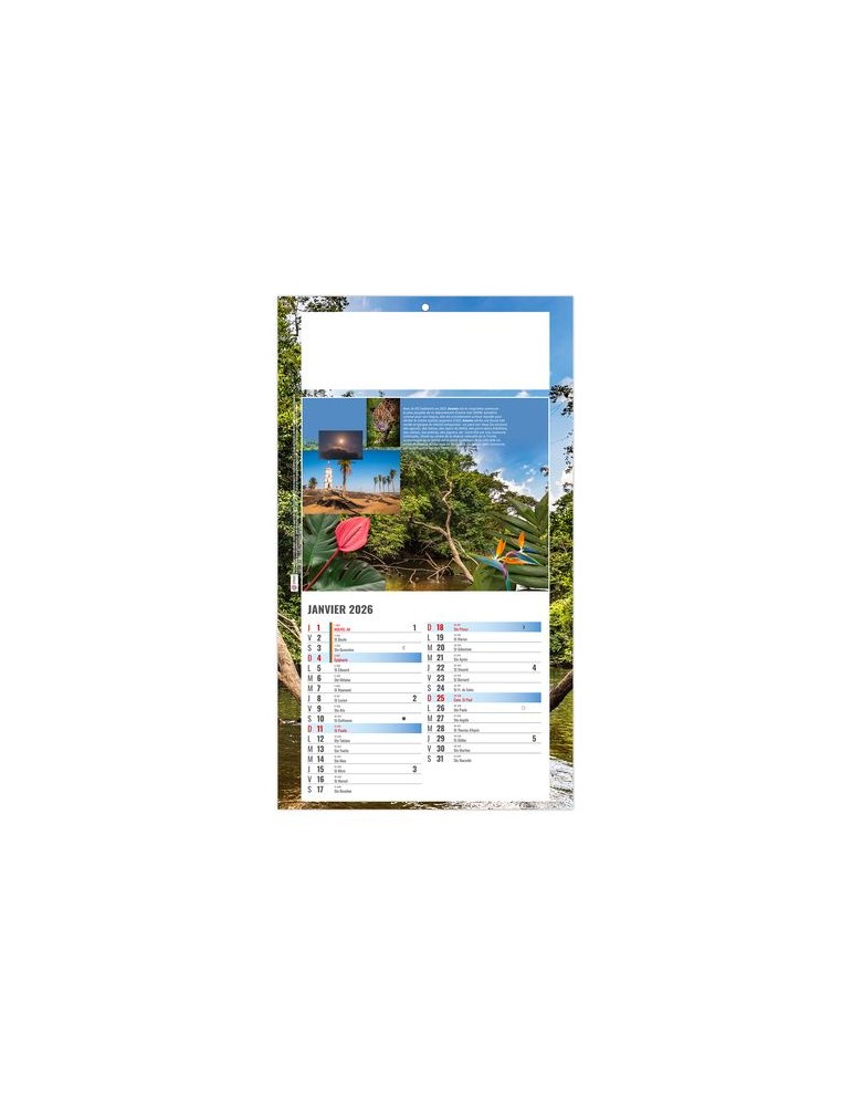 PLAQUE 1 VUE LUC 2026 - DOS CARTON - BLOC B2 - SANS MARQUAGE