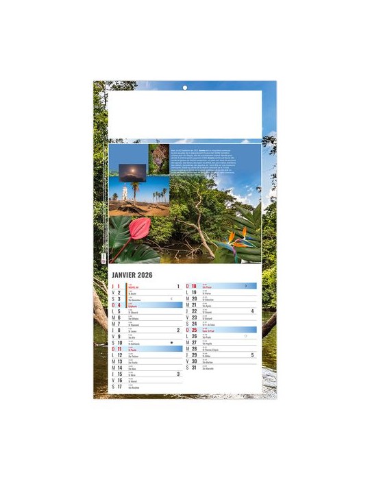 PLAQUE 1 VUE LUC 2026 - DOS CARTON - BLOC B2 - SANS MARQUAGE