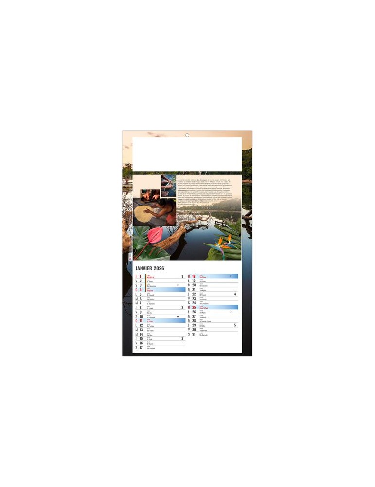 PLAQUE 1 VUE LUC 2026 - DOS CARTON - BLOC B2 - SANS MARQUAGE