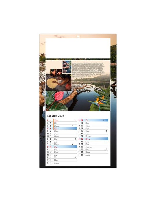 PLAQUE 1 VUE LUC 2026 - DOS CARTON - BLOC B2 - SANS MARQUAGE