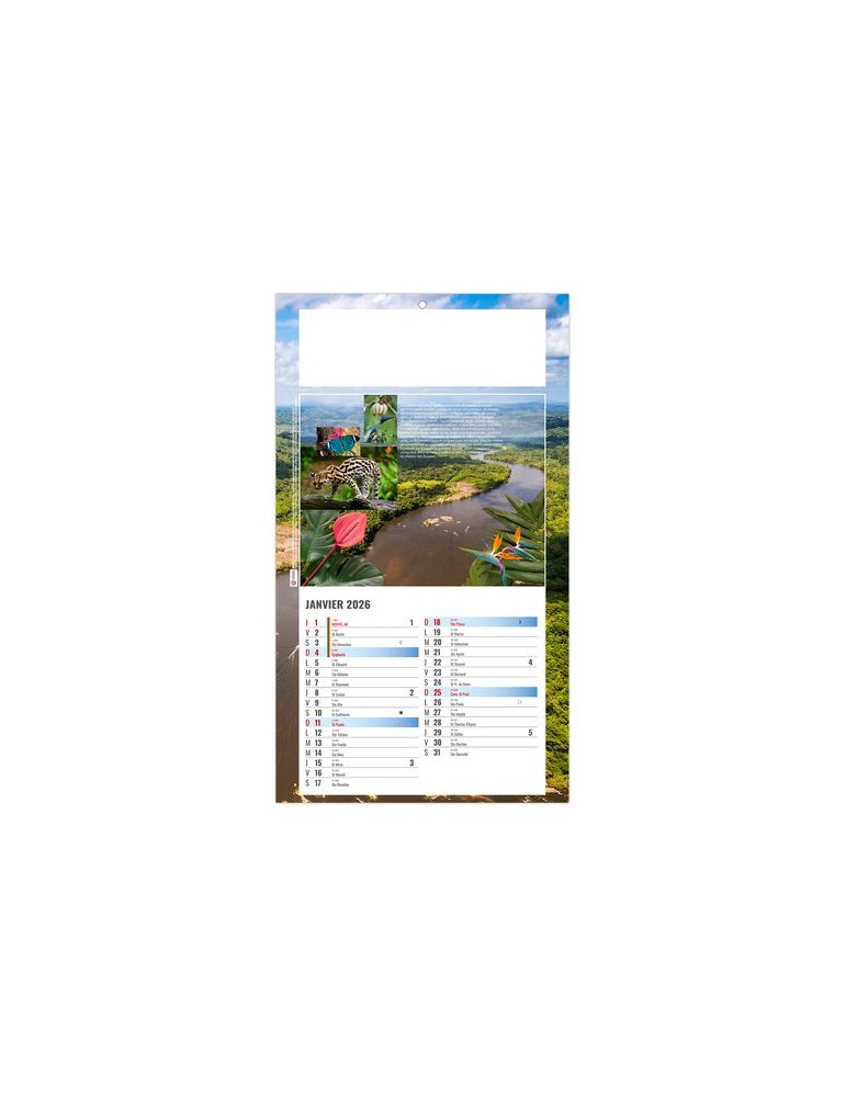 PLAQUE 1 VUE LUC 2026 - DOS CARTON - BLOC B2 - SANS MARQUAGE