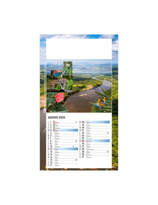 PLAQUE 1 VUE LUC 2026 - DOS CARTON - BLOC B2 - SANS MARQUAGE