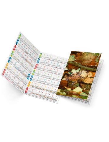 TRISTAN 2026 - NEUTRE 1 POSE 2