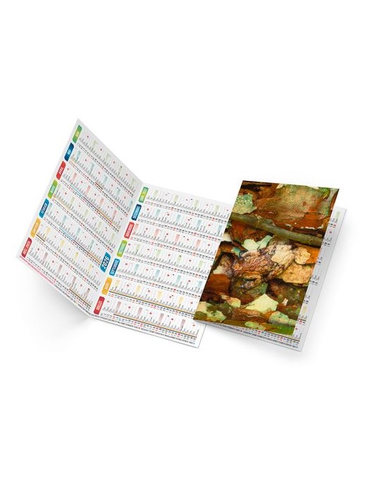 TRISTAN 2026 - NEUTRE 1 POSE