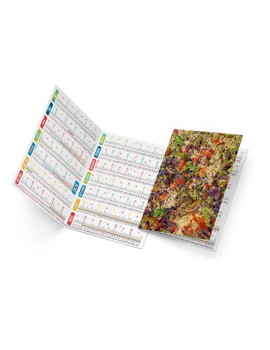 TRISTAN 2026 - NEUTRE 1 POSE