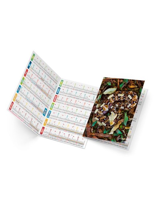 TRISTAN 2026 - NEUTRE 1 POSE