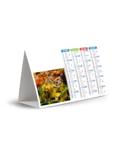 CHEVALET DE COMPTOIR - IMPRENABLE 2026 - QUADRI