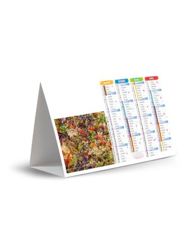 CHEVALET DE COMPTOIR - IMPRENABLE 2026 - QUADRI 2