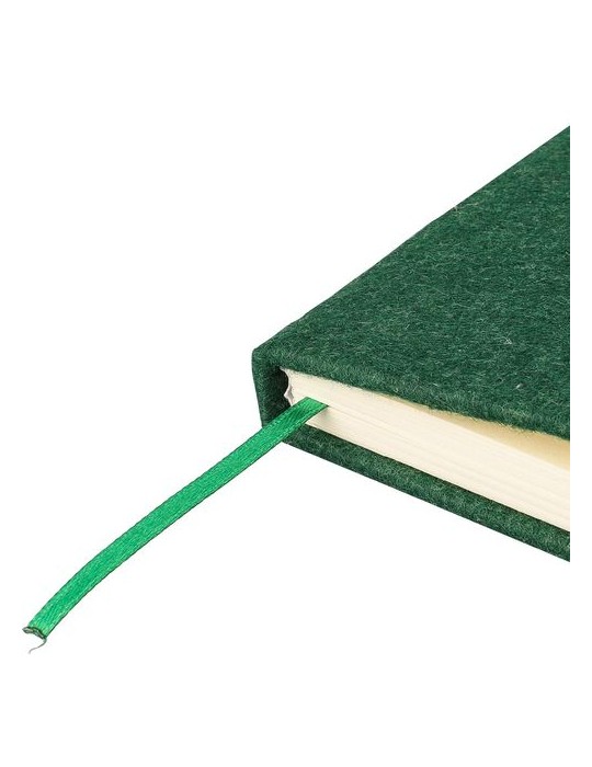 Carnet A5 en feutre recyclé Dario