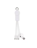 ICAB Câble de 2 en 1 type C Couleurs : blanc