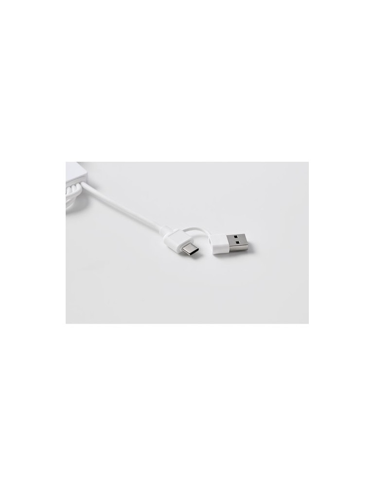 ICAB Câble de 2 en 1 type C