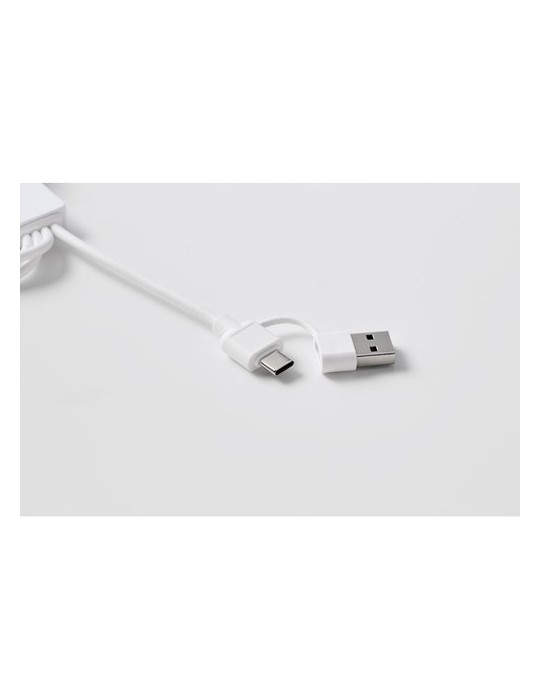 ICAB Câble de 2 en 1 type C