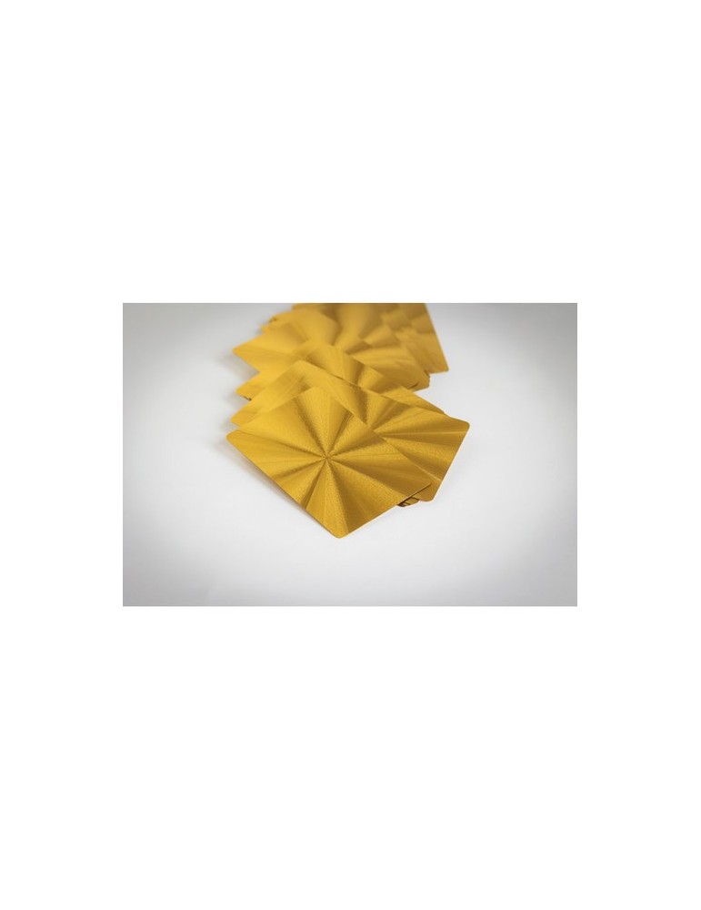 AS Cartes à jouer étanches