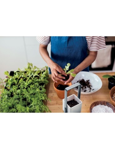 LUSHLET Jardin intérieur éclairage LED 2