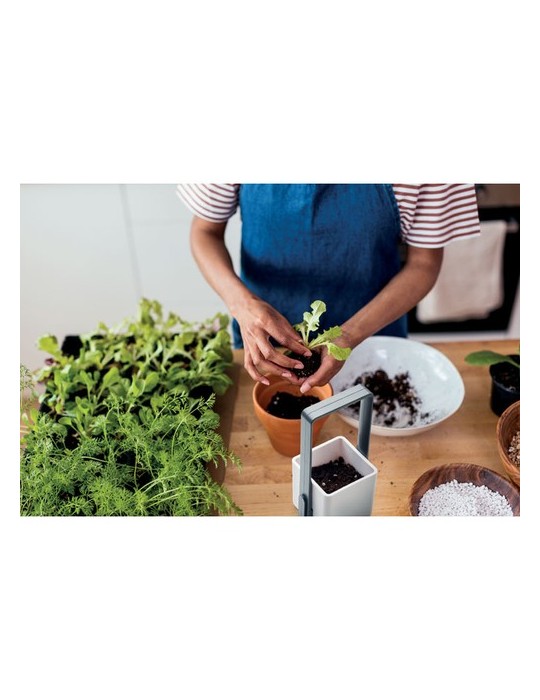 LUSHLET Jardin intérieur éclairage LED