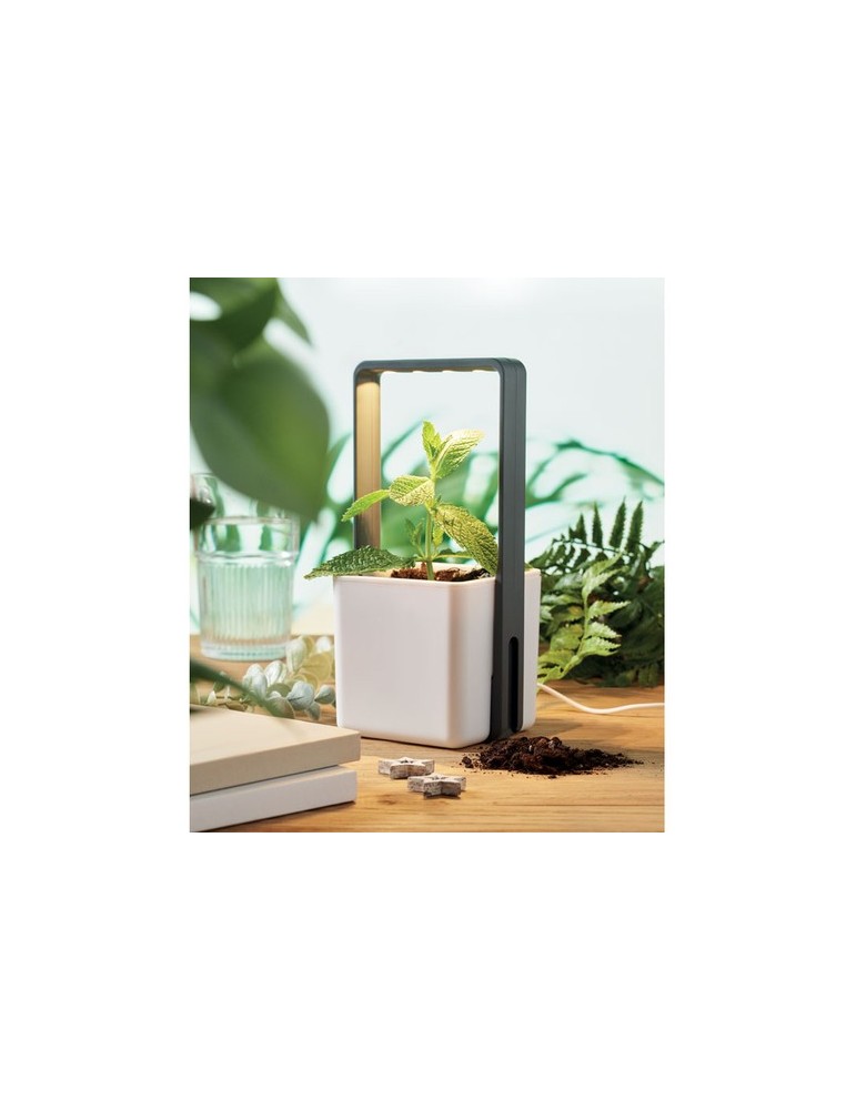 LUSHLET Jardin intérieur éclairage LED