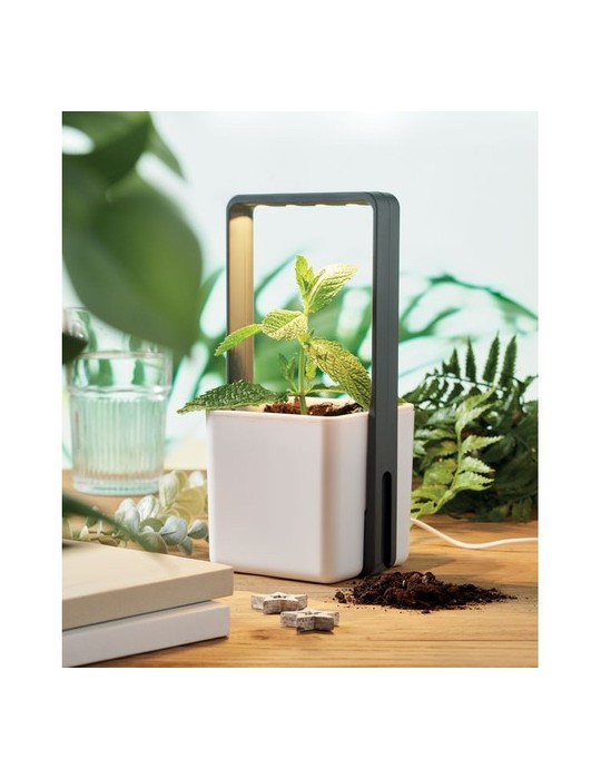 LUSHLET Jardin intérieur éclairage LED