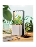 LUSHLET Jardin intérieur éclairage LED Couleurs : blanc goodies publicitaire événementiel