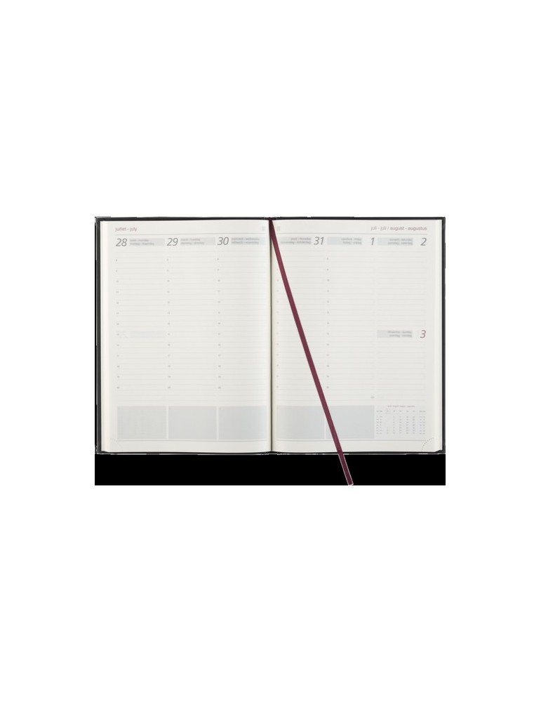 Euromax Balacron agenda 4-langues