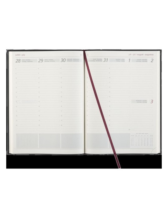 Euromax Balacron agenda 4-langues