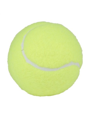 Ballons de Padel Pro 2