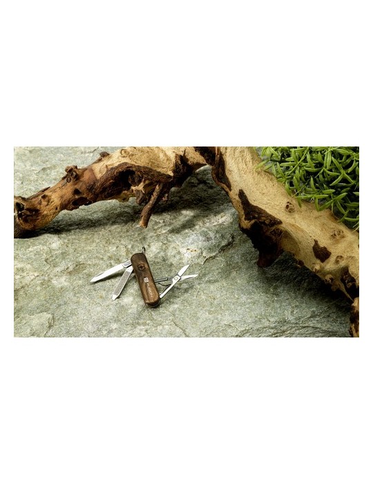 Victorinox Classic SD Wood canif