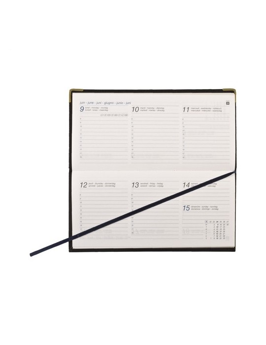 Euro Business agenda de poche 6 langues