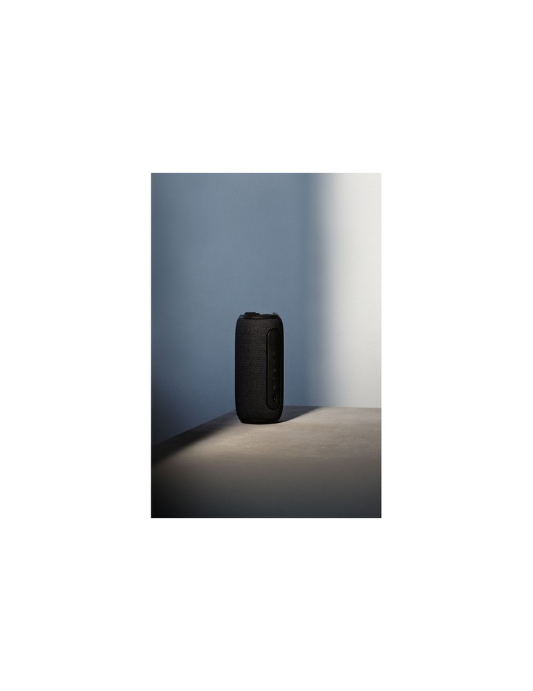 Sudio Bluetooth Speaker F5