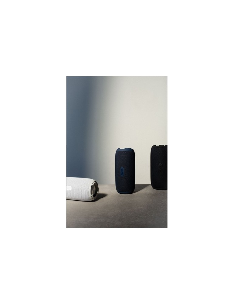 Sudio Bluetooth Speaker F5