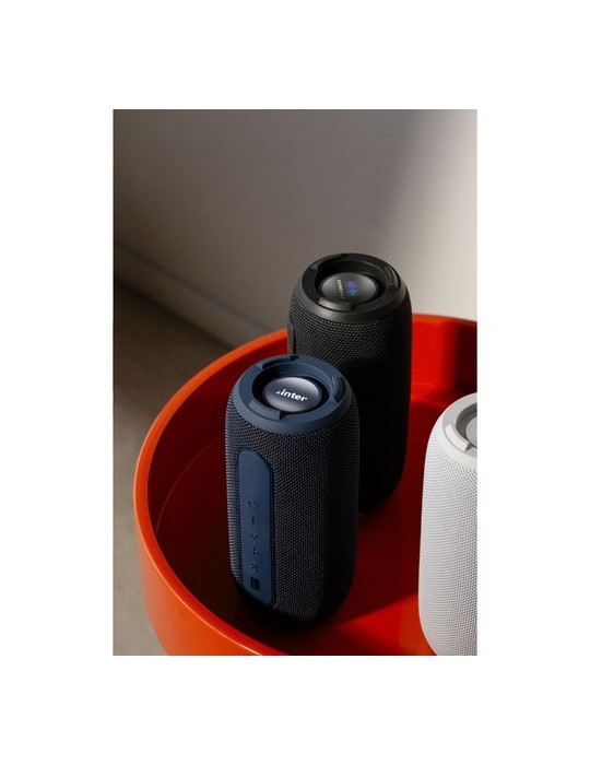 Sudio Bluetooth Speaker F5