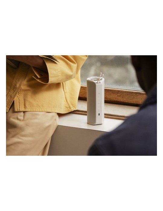 Sudio Bluetooth Speaker F4