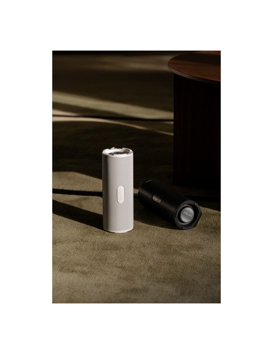 Sudio Bluetooth Speaker F4